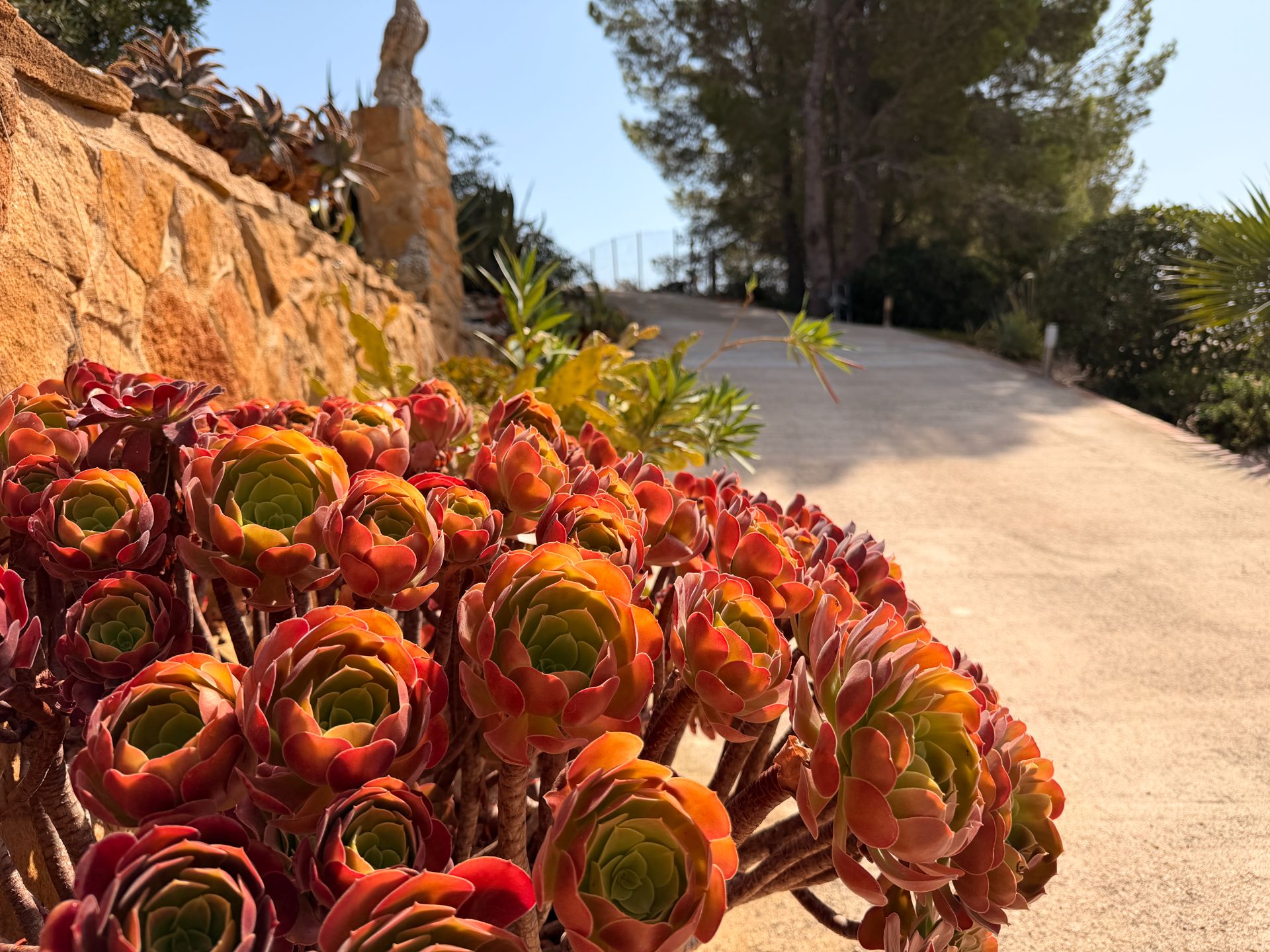++ OASIS DE PRIVACIDAD EN SANT JORDI ++ - Image 17